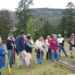 Plant Identification Field Days – Towamba, Brogo