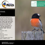 Woodland Birds Workshop Two – 16 Sept